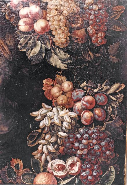 Anonimo — Utrecht Adriaen van - sec. XVII - Frutta — particolare